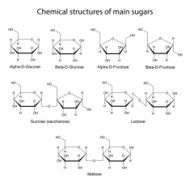 Chemical structures of main sugars mono- and disaccharides