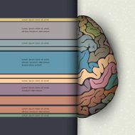 Concept of human brain N2