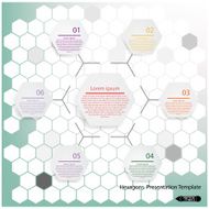 Presentation template N13