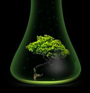 Tree in glass retort Vector