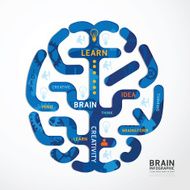 infographics vector brain design diagram line style template N3