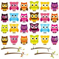 Vector Collection of Cute Owls and Seasonal Branches N2