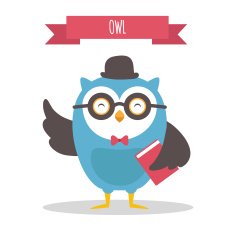 owl N60