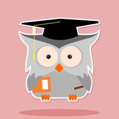Owl With Graduation Cap N10
