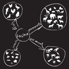 Animals Infographic
