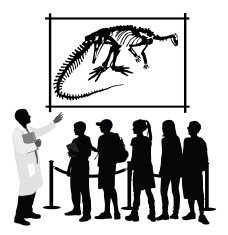 StudyingDinosaurs