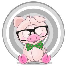 Pig N12