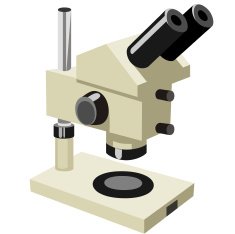 Microscope N36