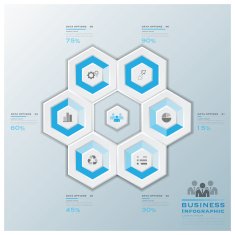 Modern Hexagon Business Infographic N3