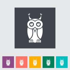 owl flat icon N2