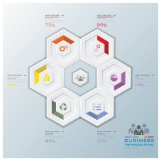 Modern Hexagon Business Infographic N4
