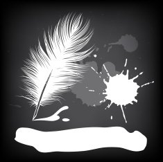 feather N13