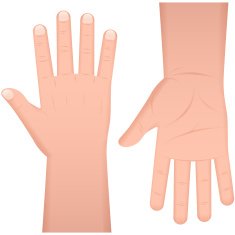 Hands N59