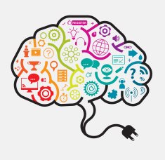 Webinar Brain Concept