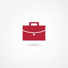Portfolio Icon N5