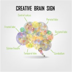 Creative brain sign N3
