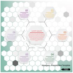 Presentation template N13