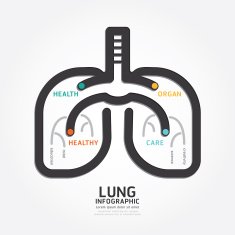 infographics vector lung design organ concept diagram line style