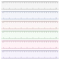 Ruler N19