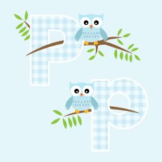 Alphabet for baby boy with owl vector letters P N2