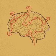 brain maze with correct path N2