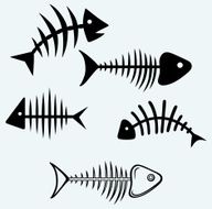 Fish Skeleton N12