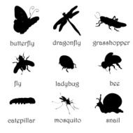 Insects Silhouettes Set