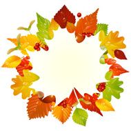 Vector Autumn Frame With Fall Leaf Chestnut Acorn And Ashberry N2