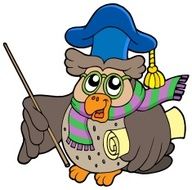Owl teacher with parchment