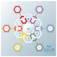 Modern Hexagon Business Infographic N6