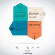 Modern Infographic N9