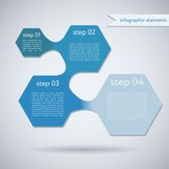 Hexagon Geometric Shape Infographic