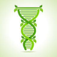 Ecology concept- leafs make a DNA strand stock vector