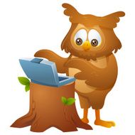 owl - operating a laptop
