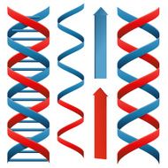 Red and blue helix