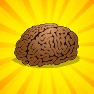 Inspiration from Brain