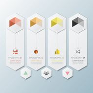 Hexagon Geometric Shape Infographic Design Template N2