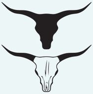 Skull of a bull N2