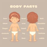 baby body parts N2