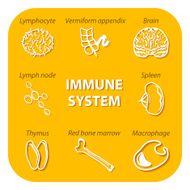 set icons with shadow Human Immune system