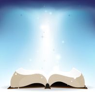 Book and shine N2