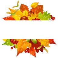 Vector Autumn Frame With Fall Leaf Chestnut Acorn And Ashberry N3