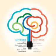 Left right brain function creative concept illustration