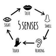 Five Senses N12