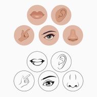 five senses nose lips eye ear and hand