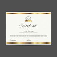 Vector certificate (design template) N11