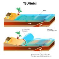 Tsunami and Earthquake Vector illustration