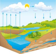 Vector representation of the water cycle