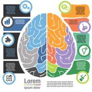 Left Right Brain System