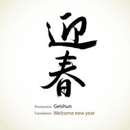 Japanese calligraphy Welcome new year N2